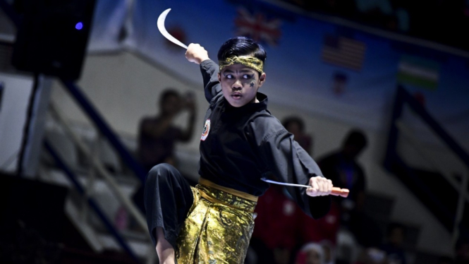 Pencak Silat