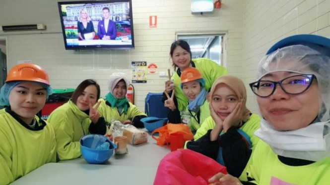 Vita Nur Khasanan, ketiga dari kiri, bersama rekan-rekan kerjanya yang mengikuti program WHV dan kini bekerja di pabrik daging.