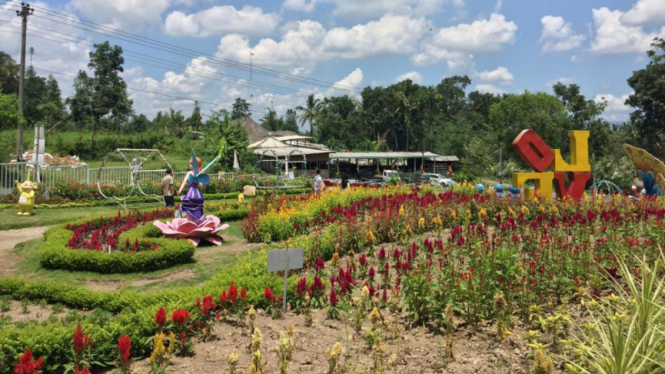 Taman Bunga Alamanda di Sleman, Yogyakarta.