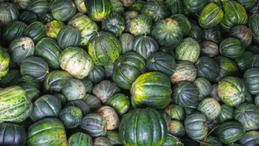 Buah blewah untuk dijual kembali di gudang buah, Pasar Induk Gadang, Malang, Jawa Timur, Senin, 6 Mei 2019.