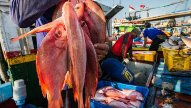 Kegiatan Penangkapan ikan oleh nelayan.