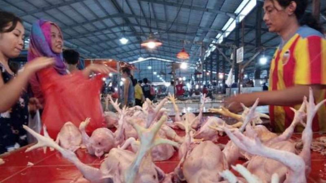Pedagang ayam di Pasa Anyar, Tangerang, Sabtu, 11 Mei 2019.