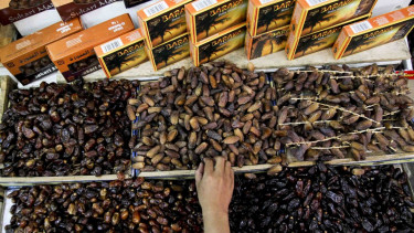 Kurma