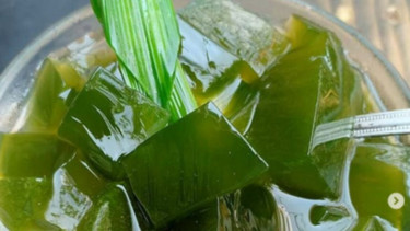 Cincau hijau