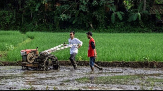 Mentan Syahrul Minta Ini ke Forum P4S