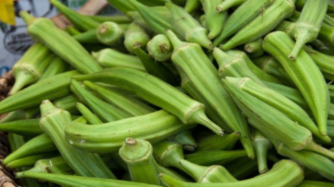 Sayur okra