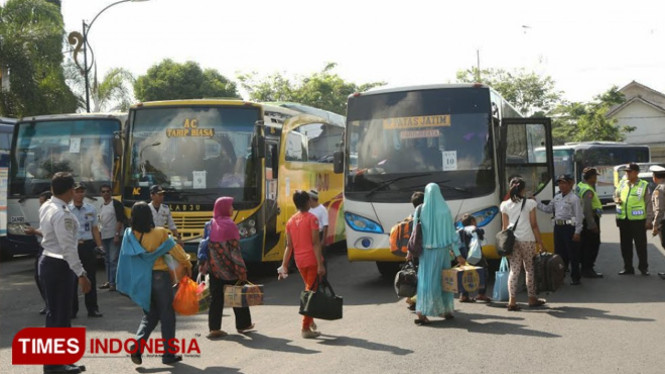 Pemkab Banyuwangi menggelar mudik gratis 2019. (FOTO: Roghib Mabrur/TIMES Indonesia)