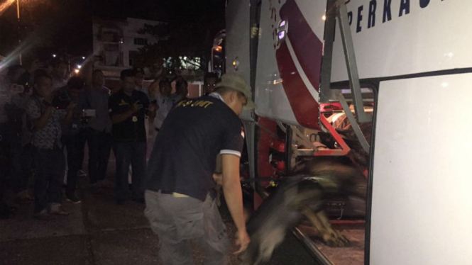 Seekor anjing diturunkan untuk periksa barang pemudik