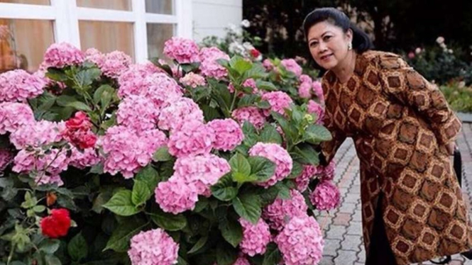 Ani Yudhoyono 