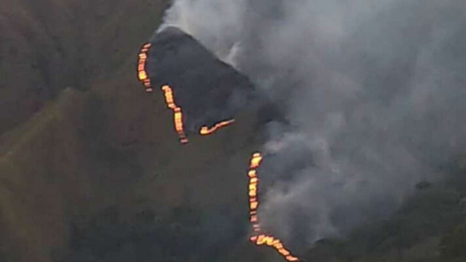 Ilustrai salah satu bukit di Gunung Rinjani terbakar.