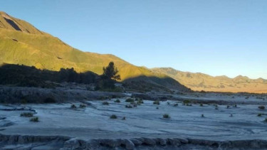 Bromo