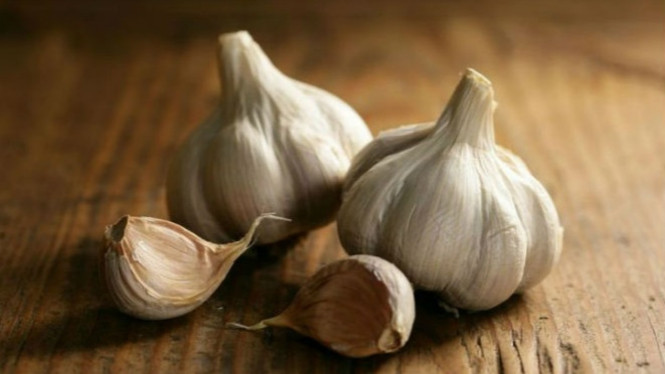 Ilustrasi bawang putih.