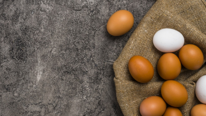 Telur ayam (ilustrasi)