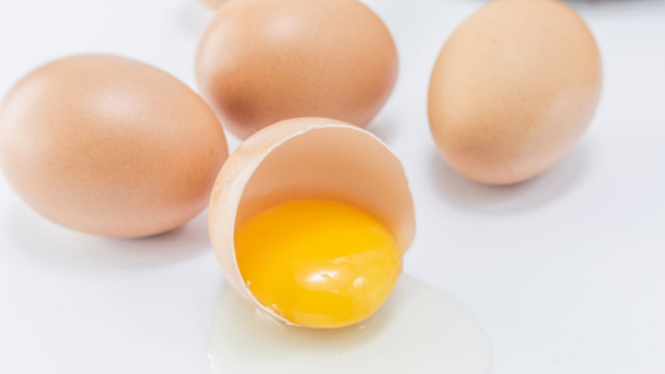 Telur ayam