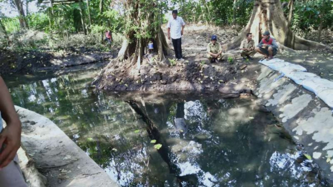 Sebuah bangunan mirip saluran pertirtaan diperkirakan era Kerajaan Majapahit ditemukan warga di Dusun Sumberbeji, Kesamben, Jombang, Jawa Timur.