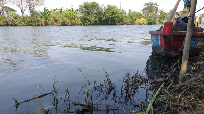 Sungai Ciujung yang menghitam dan beraroma busuk. (Foto ilustrasi).