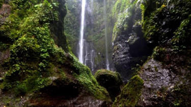 Curug Badak di Tasikmalaya menawarkan kesegaran air terjun dan udara yang sejuk nan segar. (foto:inilahtasik.com)