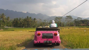 VW Cabrio