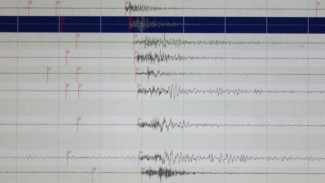 Gempa M 6,7 di Banten Terasa ke Depok, Warga Panik