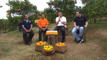 Kementerian Pertanian RI memperkenalkan Bujangseta untuk tanaman jeruk di Kota Batu.