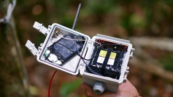 Alat pelacak penebangan hutan, 'The Guardian'