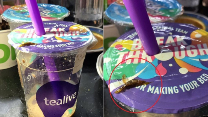 Ada kecoak di minuman bubble tea