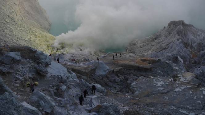 Pemulihan Ekosistem Kawah Ijen