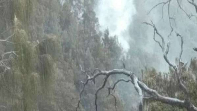 Kebakaran di Gunung Arjuna