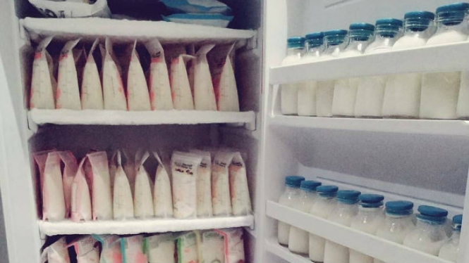 Stok ASIP