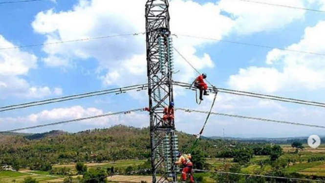 Petugas PLN melakukan pemeliharaan instalasi listrik.