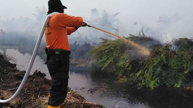 Ilustrasi pemadaman kebakaran hutan