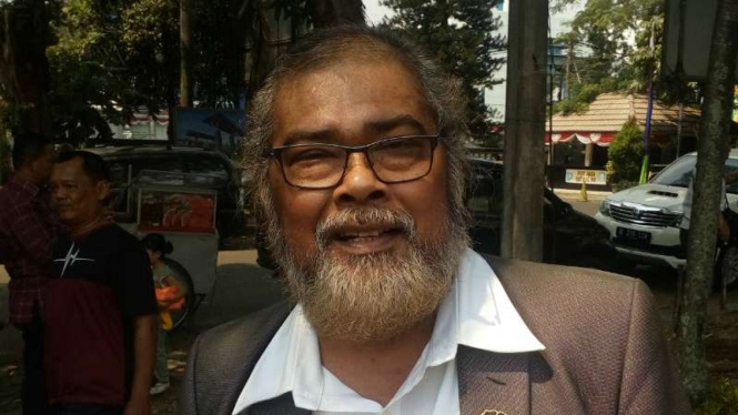 Arist Merdeka Sirait, Komnas Perlindungan Anak