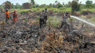 Ilustrasi petugas memadamkan kebakaran hutan dan lahan