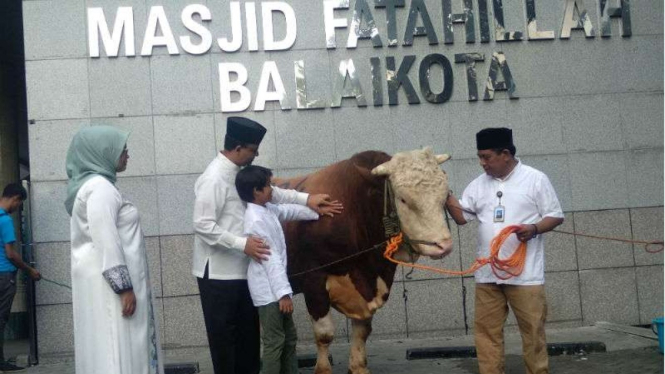 Anies Baswedan kurbankan sapi Limosin di Masjid Balai Kota