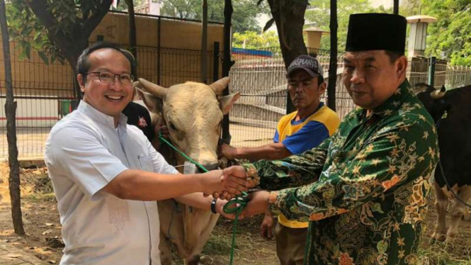 Penyerahan sapi kurban dari Gereja Katedral.