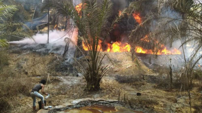 Tambang Minyak Ilegal di Jambi meledak.
