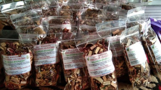 6 Manfaat Kayu Bajakah, Asal Kalimantan Tengah yang Kaya Khasiat