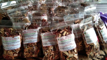 Kayu Bajakah 