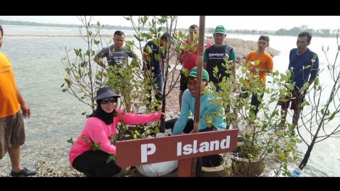 Kegiatan penanaman bakau (mangrove) di Pulau P oleh nelayan sekitar, Jumat (16/8).