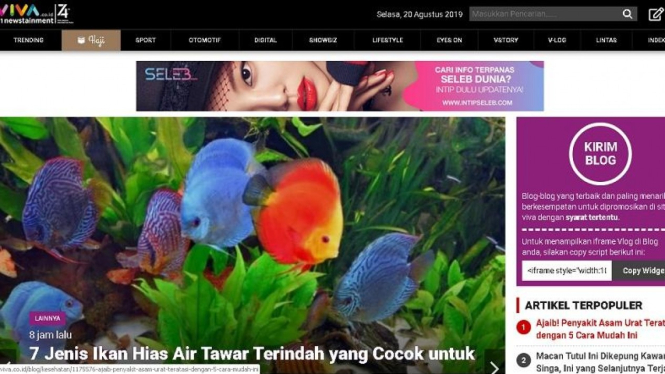 Cara Daftar dan Kirim Artikel di VivaLog
