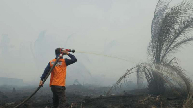 Upaya pemadaman kebakaran hutan dan lahan di Sumatera.