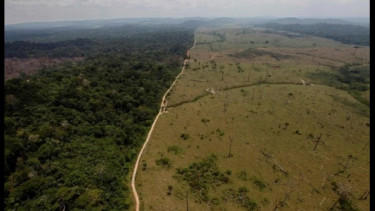 Hutan Amazon