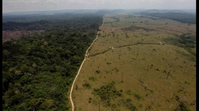 Hutan Amazon