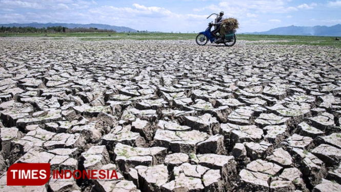ILUSTRASI - Kekeringan. (FOTO: Dok. TIMES Indonesia)