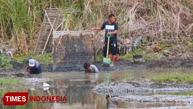 Penambang pasir tradisional di Sungai Klawing, Desa Tejasari, Kecamatan Kaligondang, Purbalingga. (FOTO: Sinnangga Angga/TIMES Indonesia)