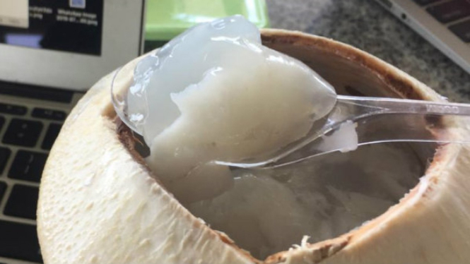 Kelapa Jelly