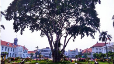 Kota Tua Jakarta