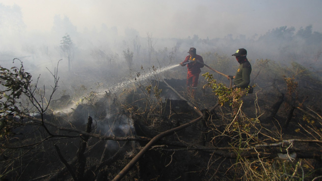(FOTO ILUSTRASI) Pemadaman kebakaran hutan dan lahan (karhutla).