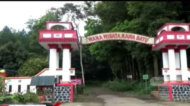 Kawasan wisata Rowo Bayu, Banyuwangi, Jawa Timur.