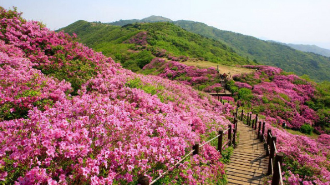Jirisan Cheonwangbong Gyeongnam